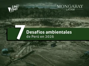 siete desafíos ambientales 2026 peru - mongabay latam