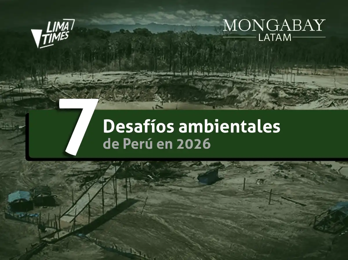 siete desafíos ambientales 2026 peru - mongabay latam