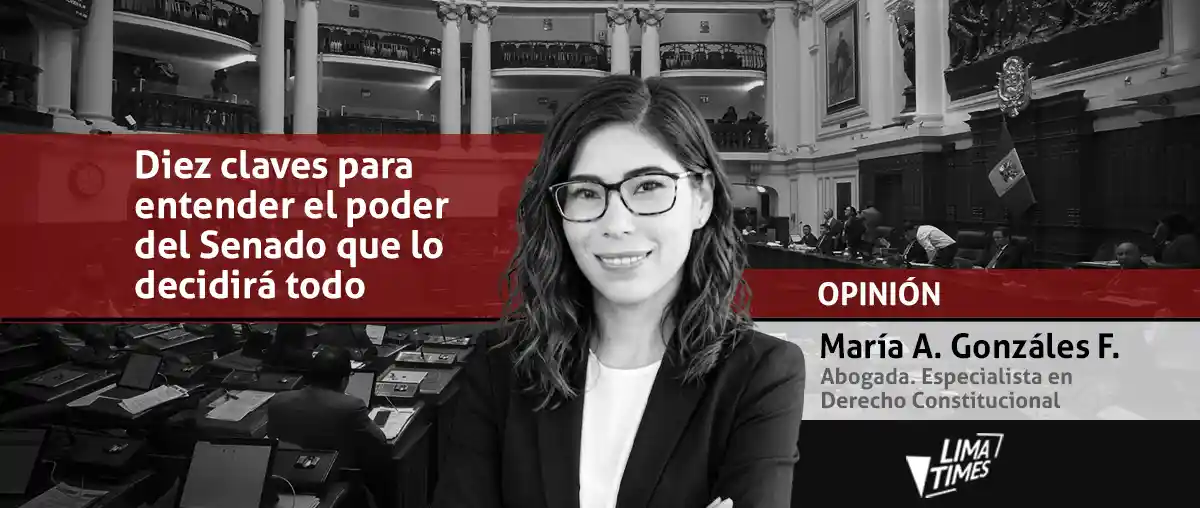 diez claves para entender al futuro senado - perú - maria antonieta gonzales