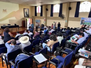 organizaciones pacto social