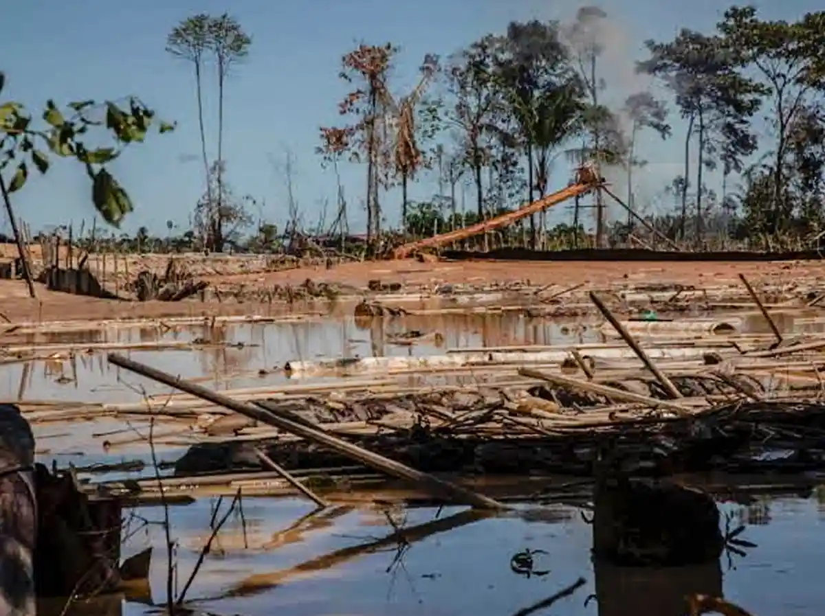Aumentan pedidos de concesiones mineras en la selva peruana de Madre de Dios - lima times