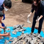 aletas de tiburon callao - lima times