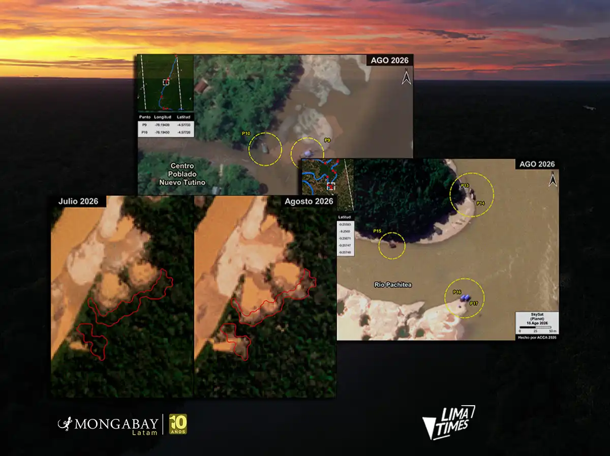 mineria ilegal mapas satelitales madre de dios tampopata huanuco amazonas - lima times