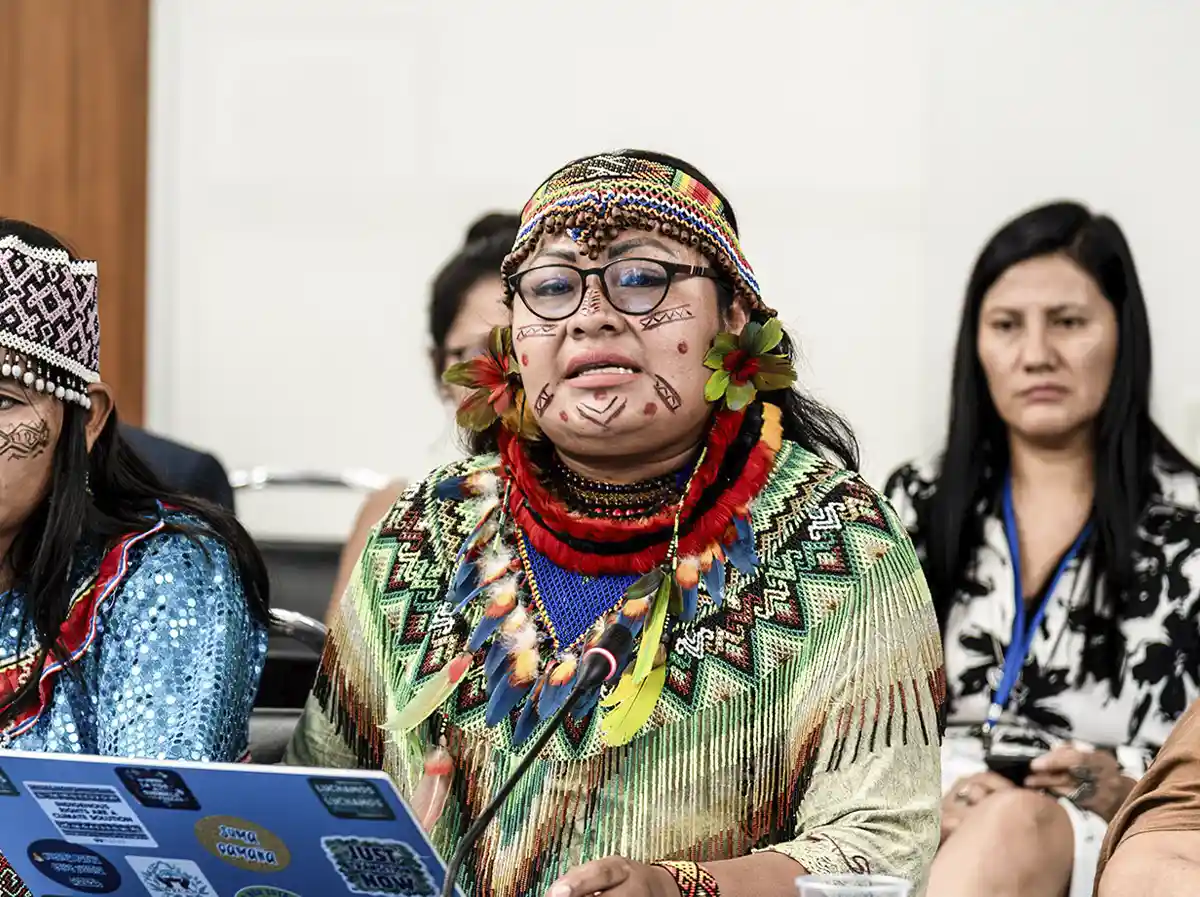 peru olivia bisa deibilidad protección líderes indígenas - lima times