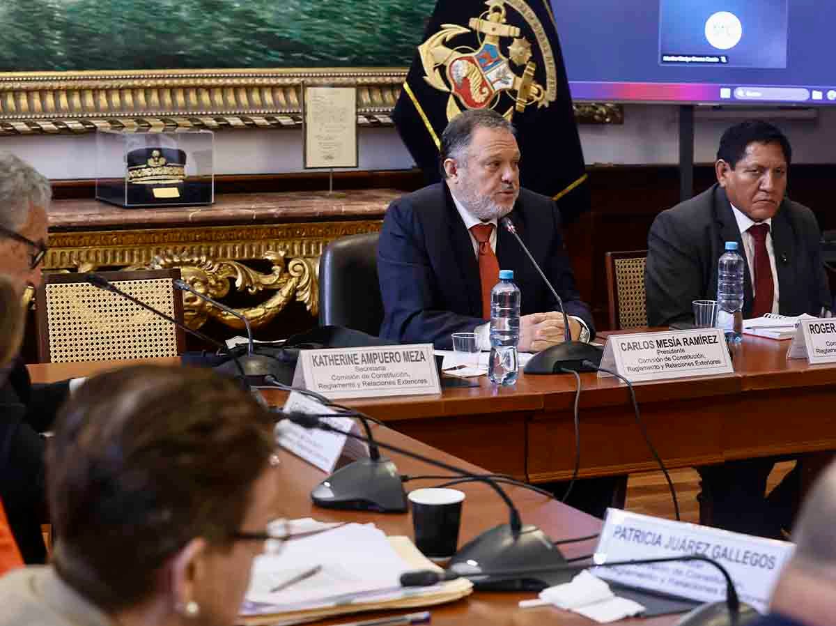 peru - senado - comisión de constitucion - debate facultades legislativas - pueblos indígenas - foto Congreso