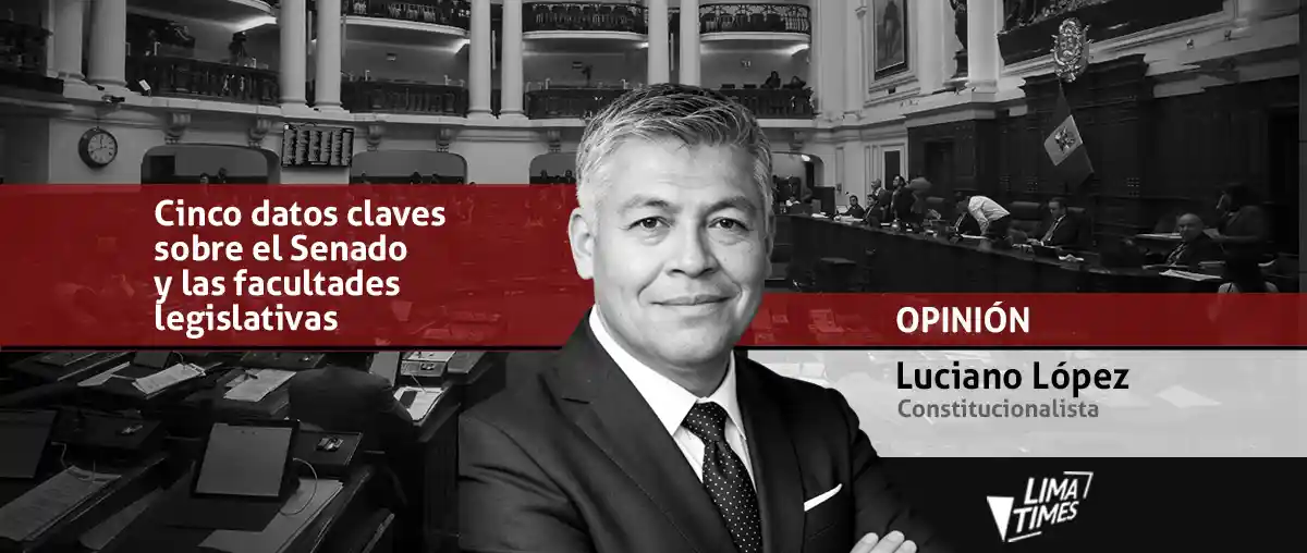 senado facultades legislativas constitucion - luciano lopez